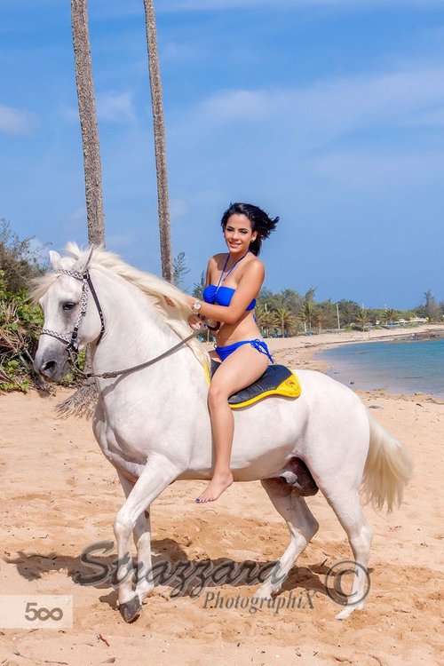 02c75f90a862fad3e82f3a167905bf8f--horseback-riding-horse-riding.jpg