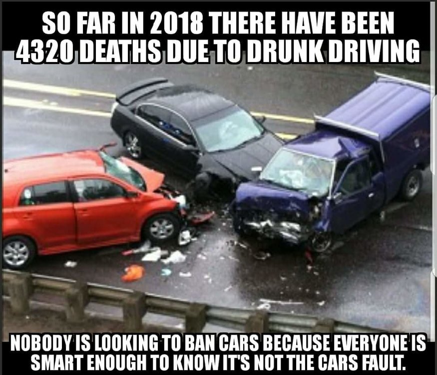 FB_IMG_1519047571688.jpg