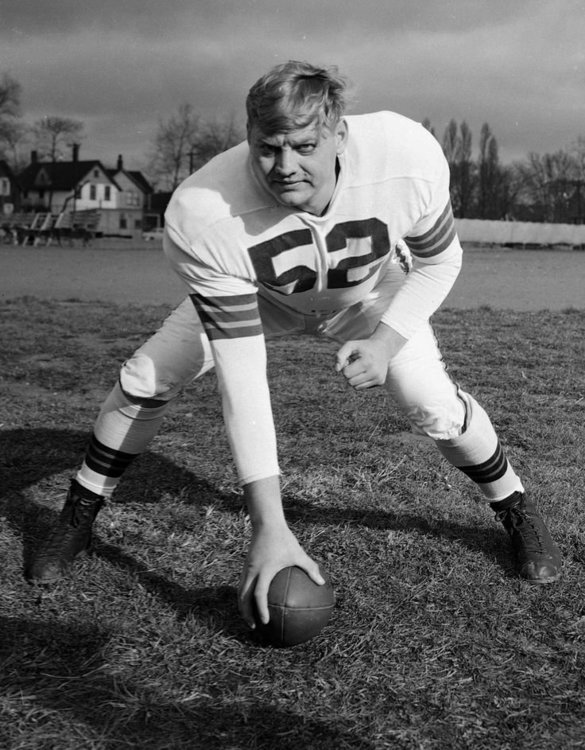 118198a6c1f5c8966457358482706309--cleveland-browns-brownies.jpg