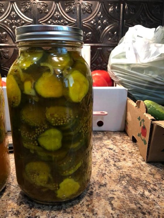 pickle jar.jpg