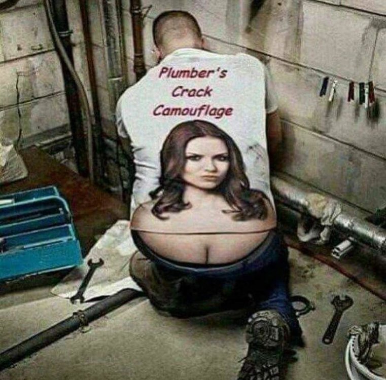 image.thumb.jpeg.8a6987de154655b2abbe597fb9506663.jpeg