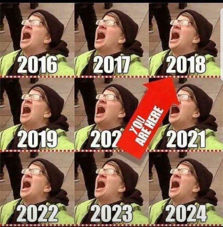 Liberal-Meltdown-Year-by-year-1007x1024.jpg