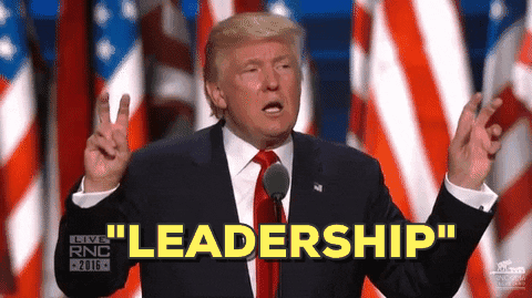 giphy-3.gif.c1c6172ffdb970545fc7823d23470f0e.gif