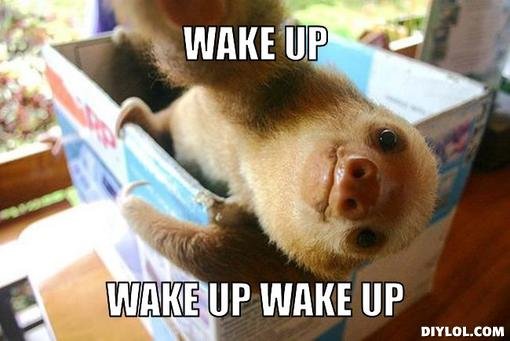 plese-wake-up-meme.jpg.32b416aff1d1731164dee4f7c9e5de4b.jpg