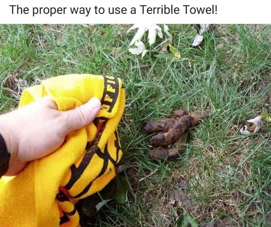 FB_IMG_1559939083882.jpg