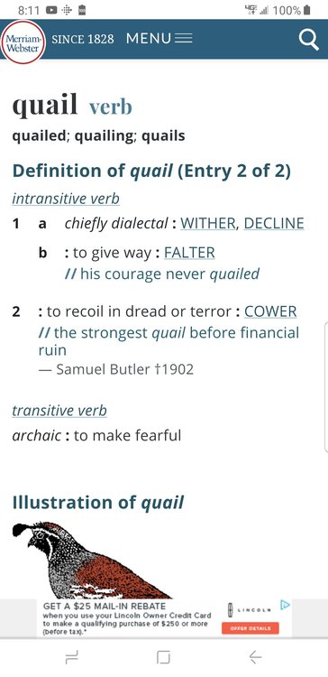 Screenshot_20190712-201110_Chrome.jpg