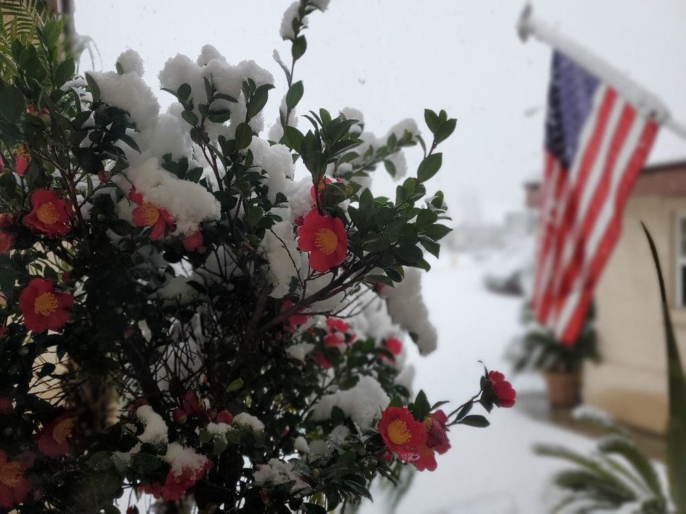 Snow.jpg