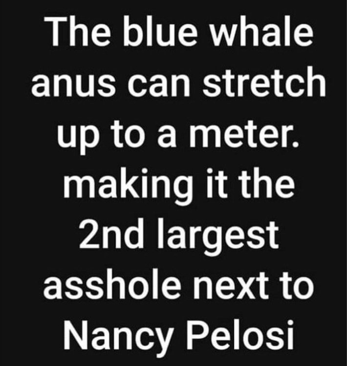 D9C1EBDF-E770-43FB-BD64-303F363E0FD0.jpeg