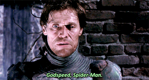 godspeed-spider-man-1.gif.2f6db0068044a4c06cd6526a9d9794c7.gif