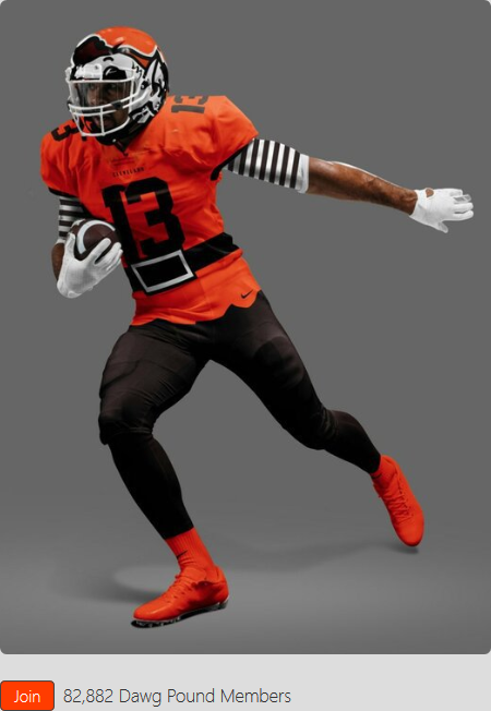 image.png.1d273002d2da6d146a5de4ee5e706b75.png