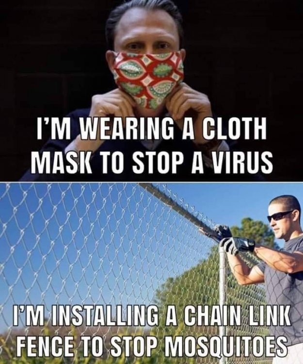 FB_IMG_1589331079742.jpg