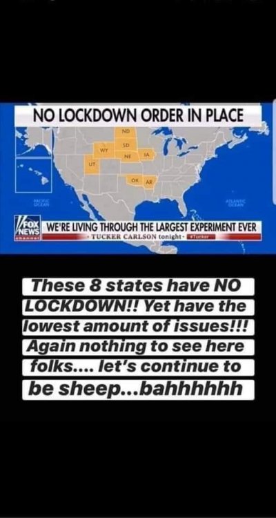 FB_IMG_1590018138911.jpg