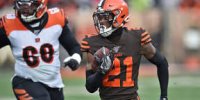 TypicalBrowns50