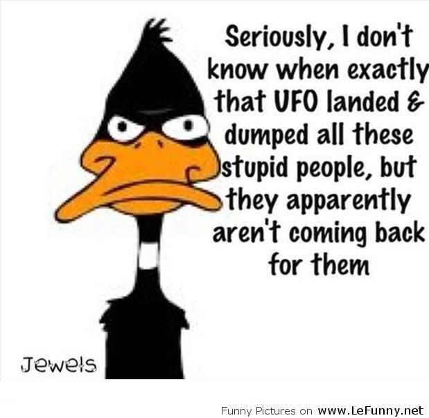 image.png.47083b7f01d8991bee6981263d2c0902.png