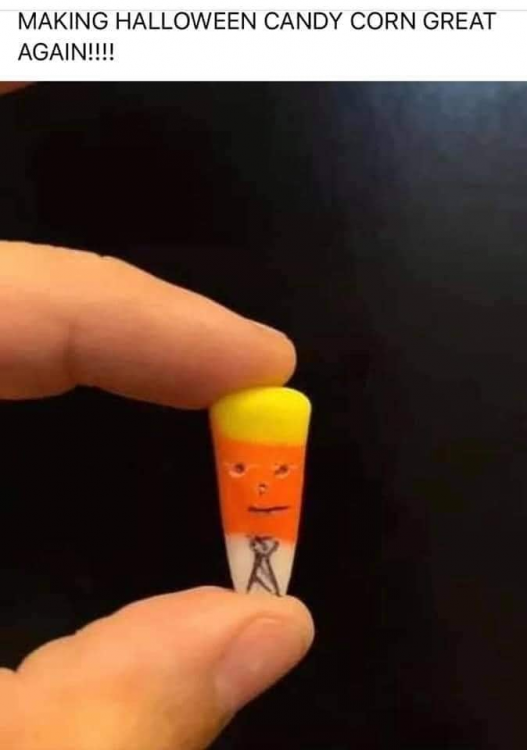 image.thumb.png.684dbe90173e79db376579d21ff222dc.png