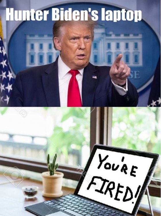 124283317_993772951106938_3991693591223347592_n.jpg