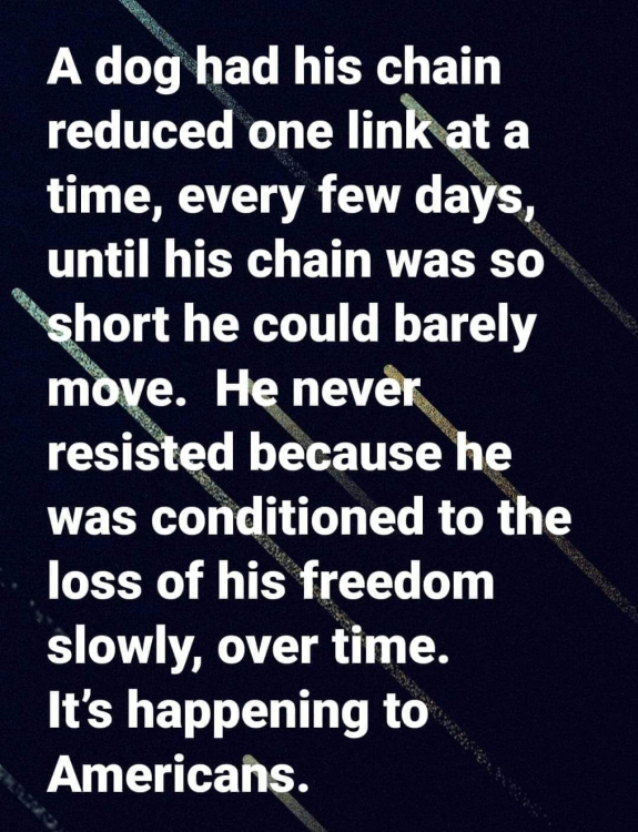image.thumb.png.862f635b97f8eea1750ea6da3fdddc1d.png