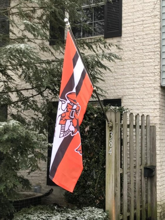 browns flag II.jpeg