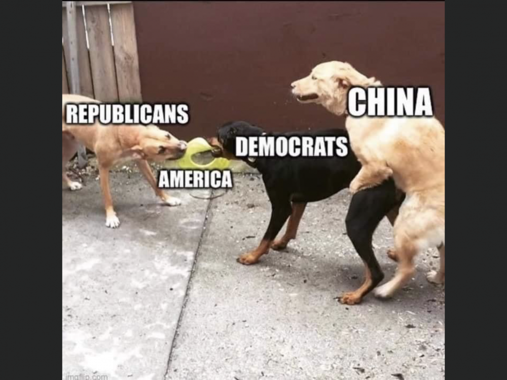B043EDA1-57C0-4B0F-9B5A-08C80D3021FF.png