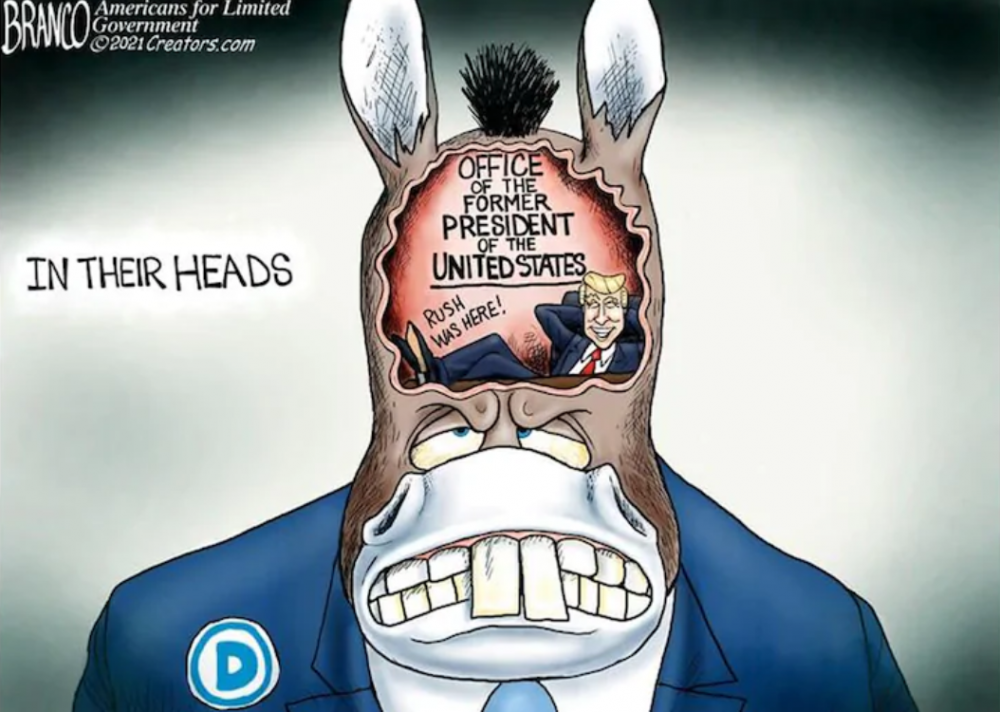 2021-02-19_104533.thumb.png.882b91c5087955264c8777360d91e073.png