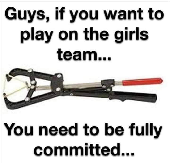 image.png.4a28a9c668bb6d3d77382413aa0e1de1.png