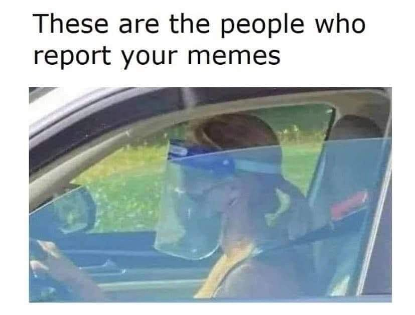 image.png.ca3d10eedf03c531d0b64025690cef50.png
