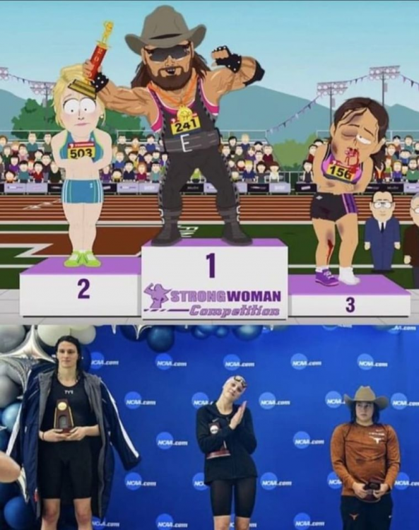 image.thumb.png.49b48accc7d0b008400b0efced6e5731.png