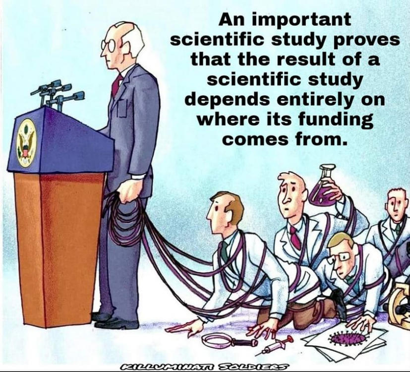 image.thumb.png.a68162cbd729b4a637329ab2f5e94a6f.png
