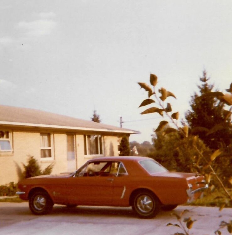 Michael '65 Mustang-1.jpg