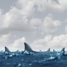 images.jpg.a97b27482e365fbdd059e76ca676ce8f.jpg