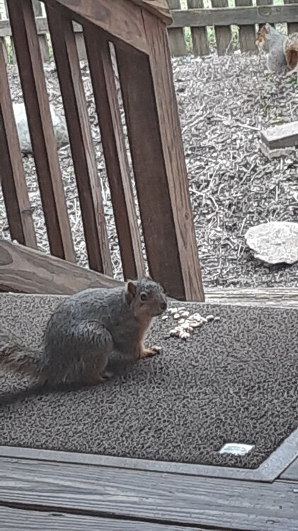20220315_133035.jpg