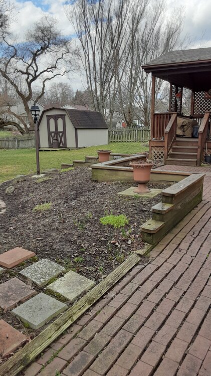 20220319_122649.jpg