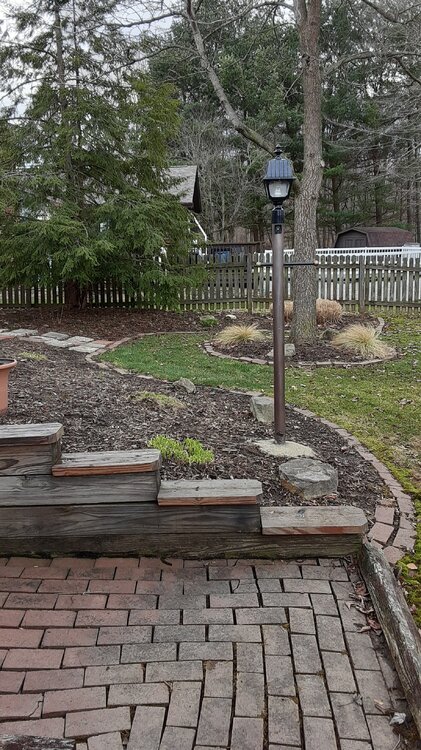 20220319_122930.jpg