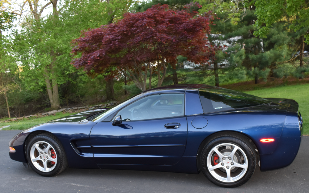 Vette.png