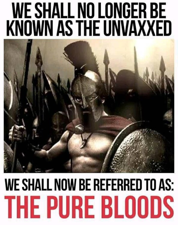 vax free (2).jpg