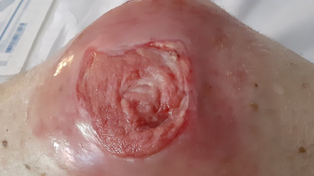 20220819_164426.jpeg