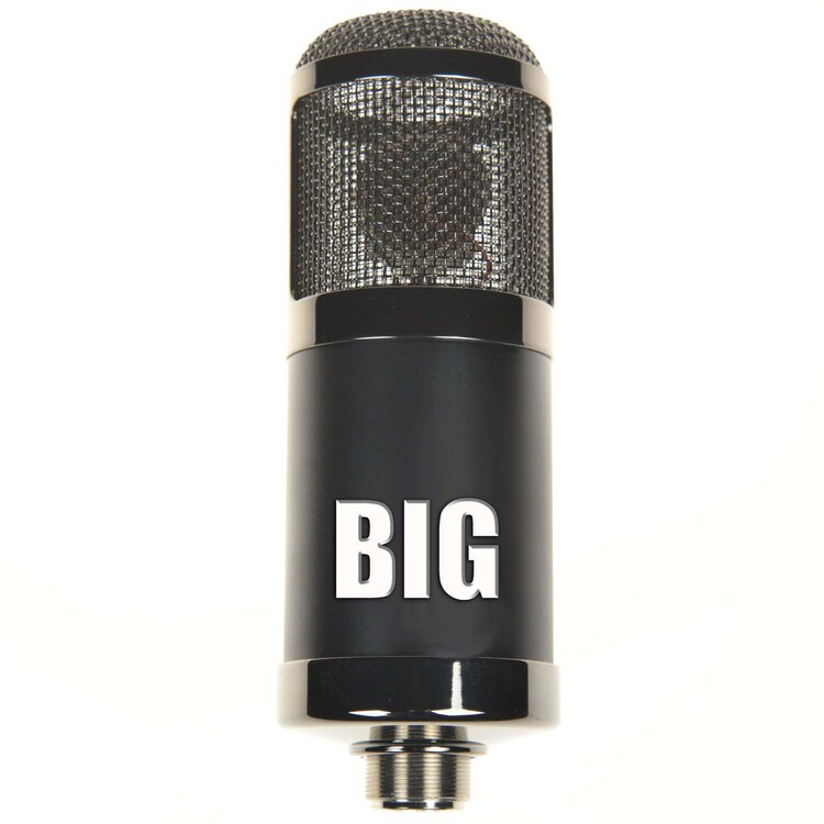 Big Mic.jpg