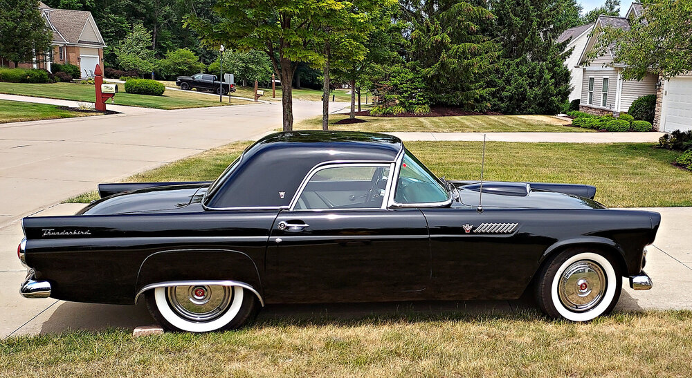 T-Bird.jpg