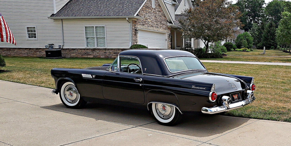 T-Bird Back.jpg
