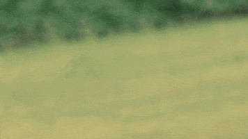 image.gif.cdc988432548a7054d4776be06dde6ac.gif