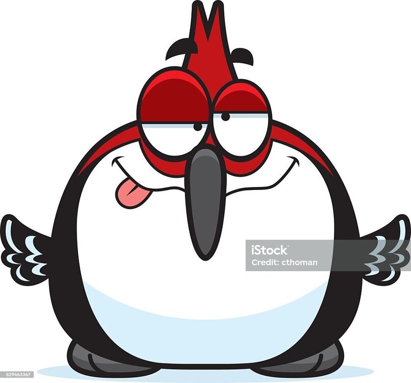 image.thumb.jpeg.3302d107e7701f3f76a4b42d6ad87bd8.jpeg