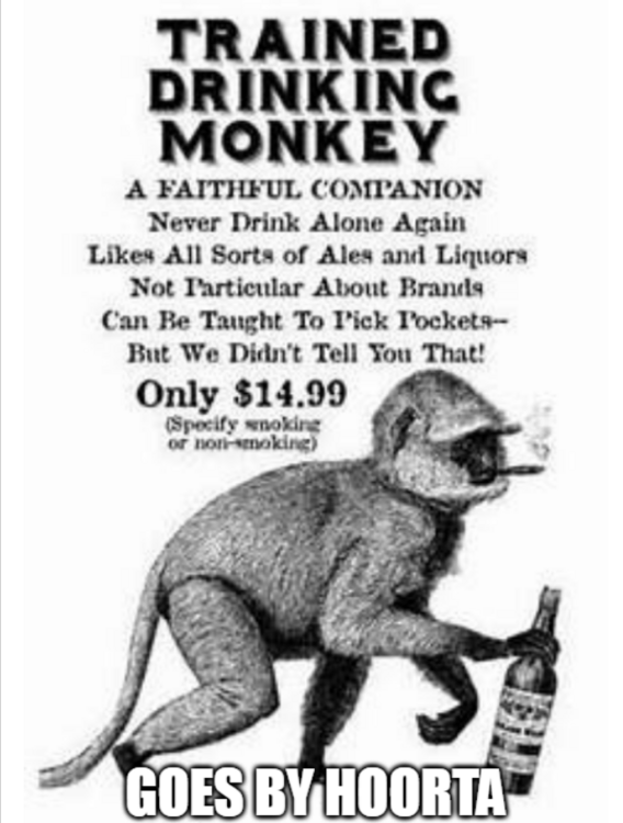 image.thumb.png.ad70b9bd414fdcbfc2d772eaf964d16a.png