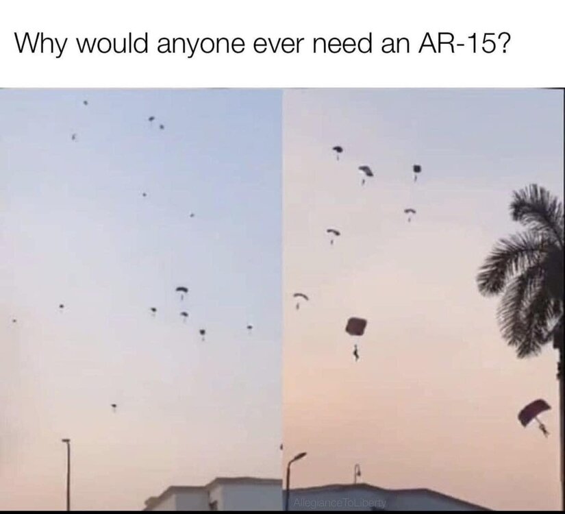 image.thumb.jpeg.51abf10b176bbe44b9475932fbd09569.jpeg