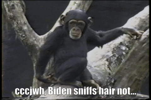 ezgif.com-added-text.gif.0c5d907961b71f19141f9ce43aeb86f4.gif
