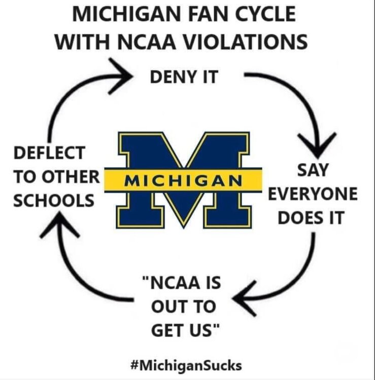 michigan cheating cycle.jpeg