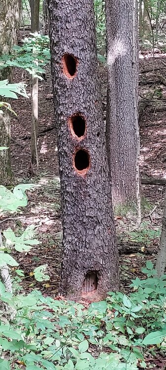 20220907_152512(0).jpg