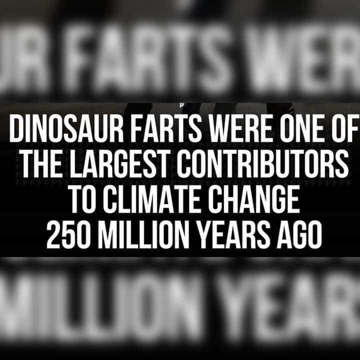 DINO.jpg