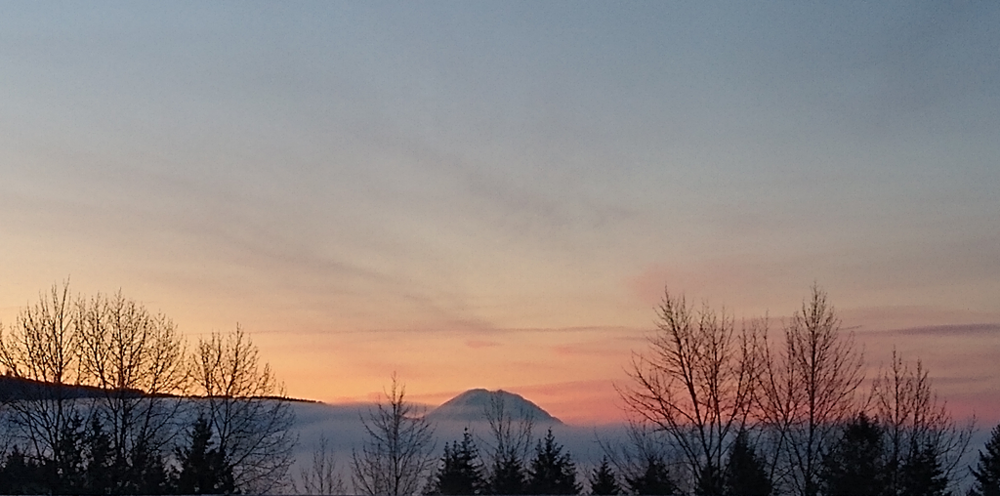thumbnail_Rainier.thumb.png.65b6d2a585cec5376f86b861a7fa6020.png