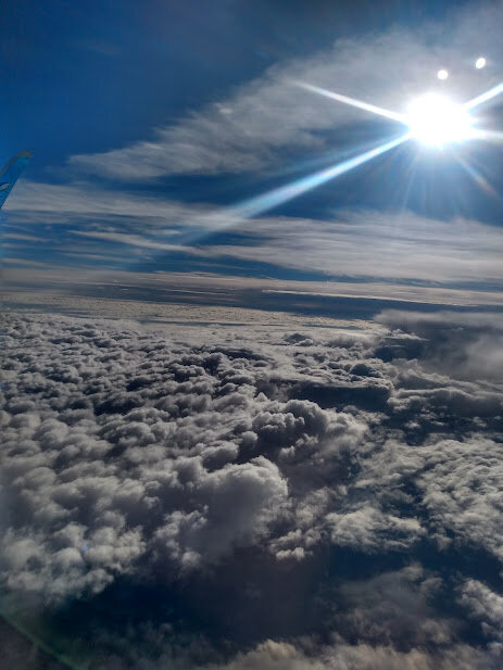 IMG_20230712_192310413_HDR.jpg.13842087fc635d74e35dd225ef2d2460.jpg