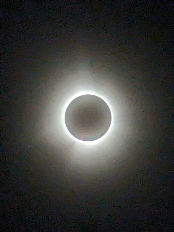 PXL_20240408_191545085.jpg
